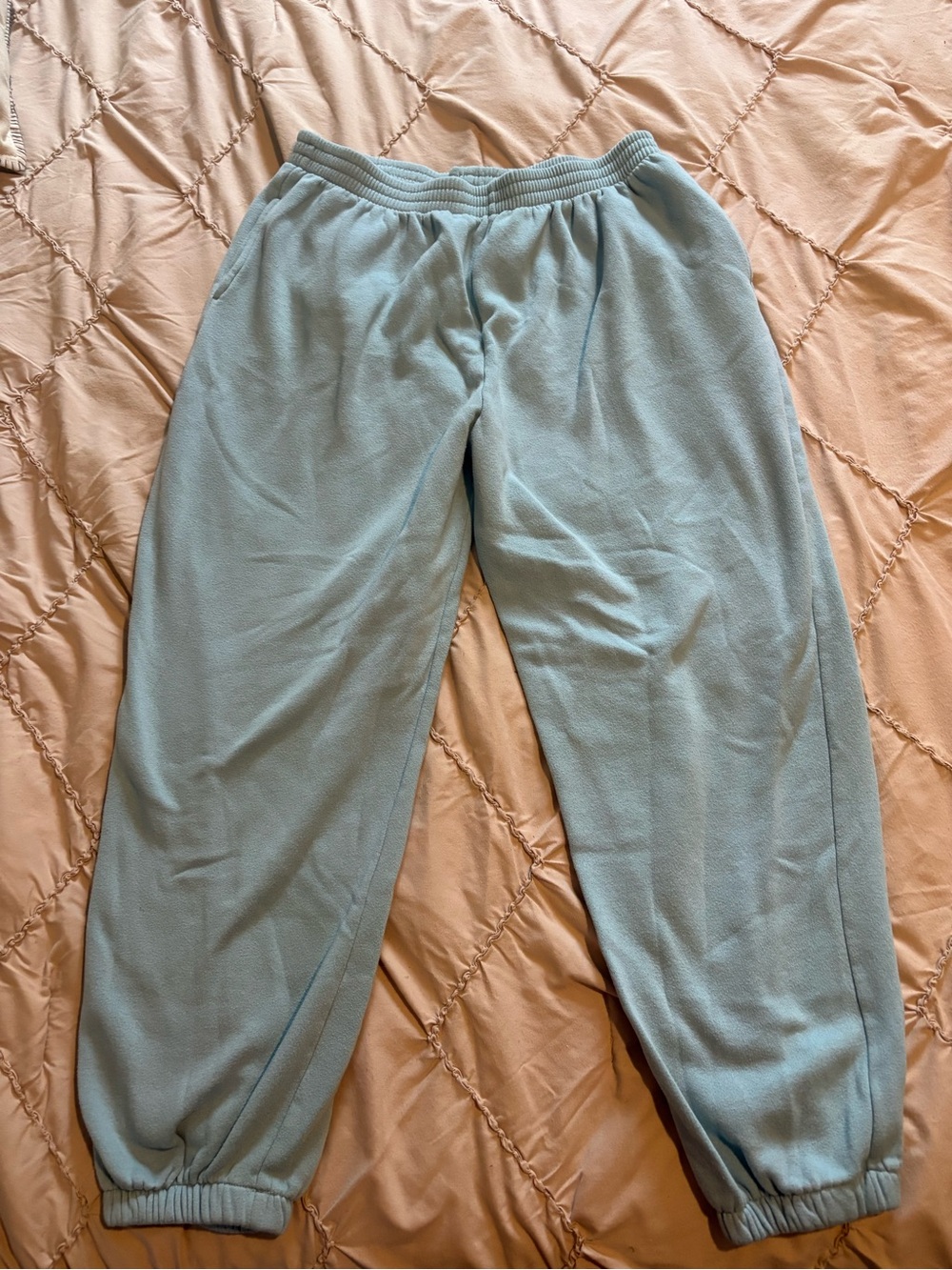 Jennifer Moore Pale Blue Fleece Jogger Pants